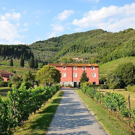 Agriturismo Le Murelle Лукка Екстер'єр фото