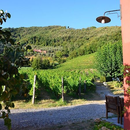 Agriturismo Le Murelle Лукка Екстер'єр фото