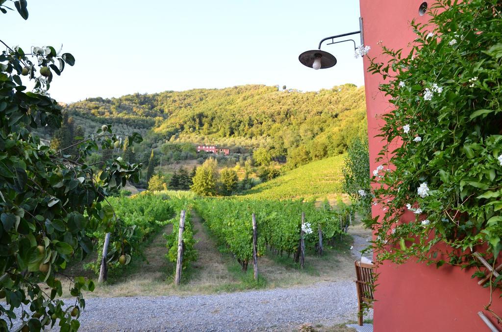 Agriturismo Le Murelle Лукка Екстер'єр фото
