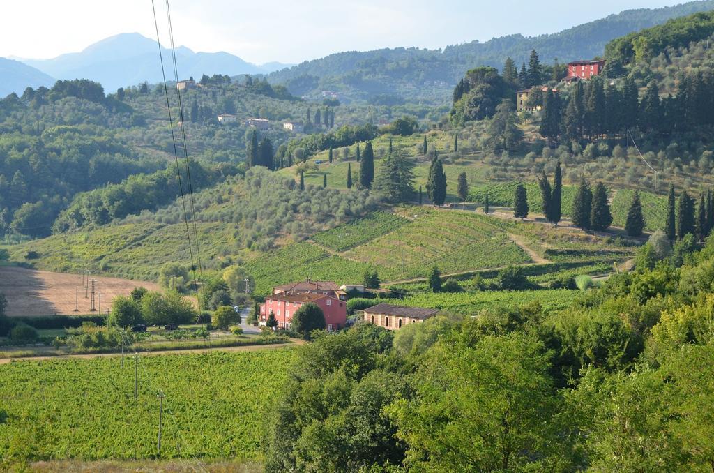 Agriturismo Le Murelle Лукка Екстер'єр фото