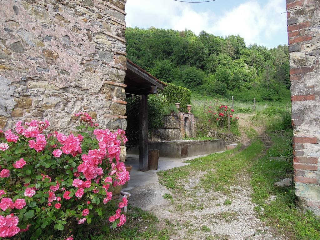Agriturismo Le Murelle Лукка Екстер'єр фото