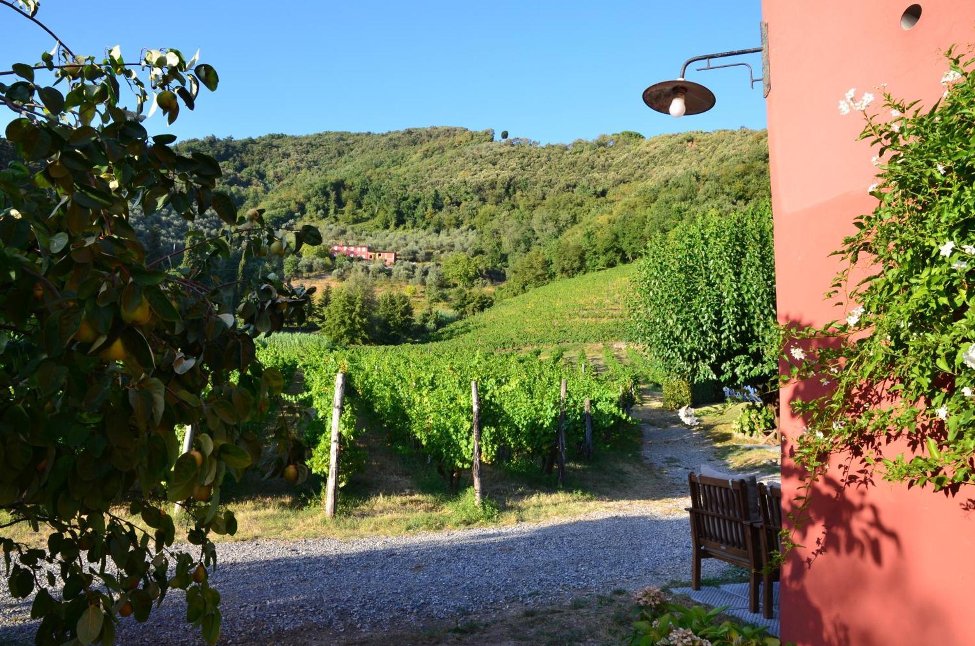 Agriturismo Le Murelle Лукка Екстер'єр фото