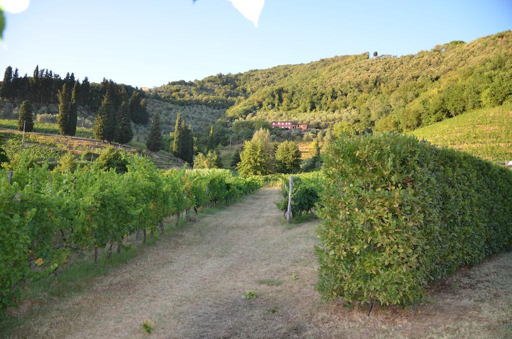 Agriturismo Le Murelle Лукка Екстер'єр фото